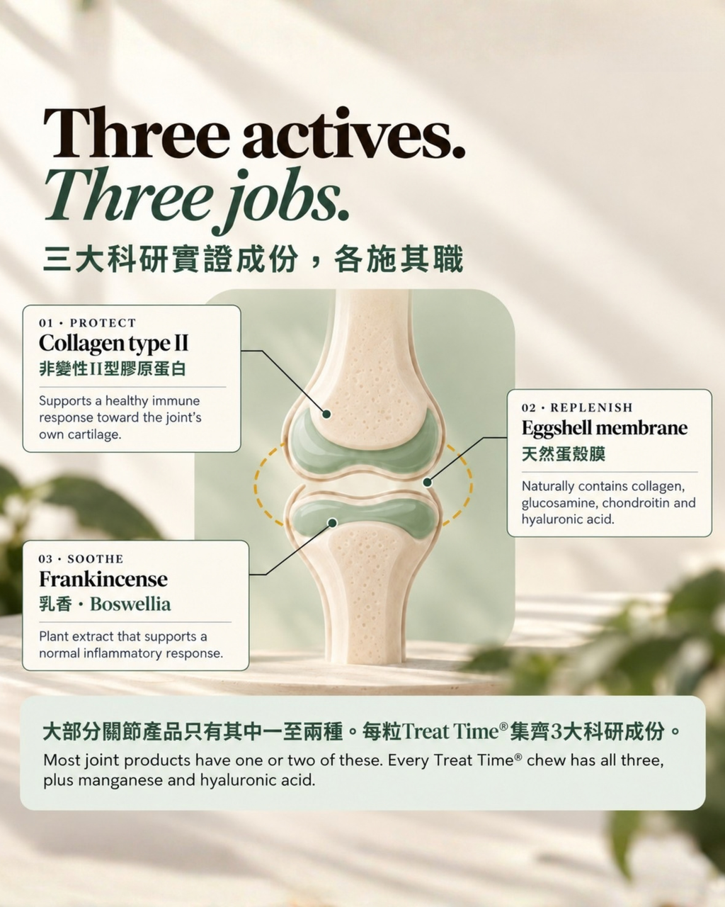 TreatTime® Joint & Mobility Soft Chew 關節配方軟嚼零食